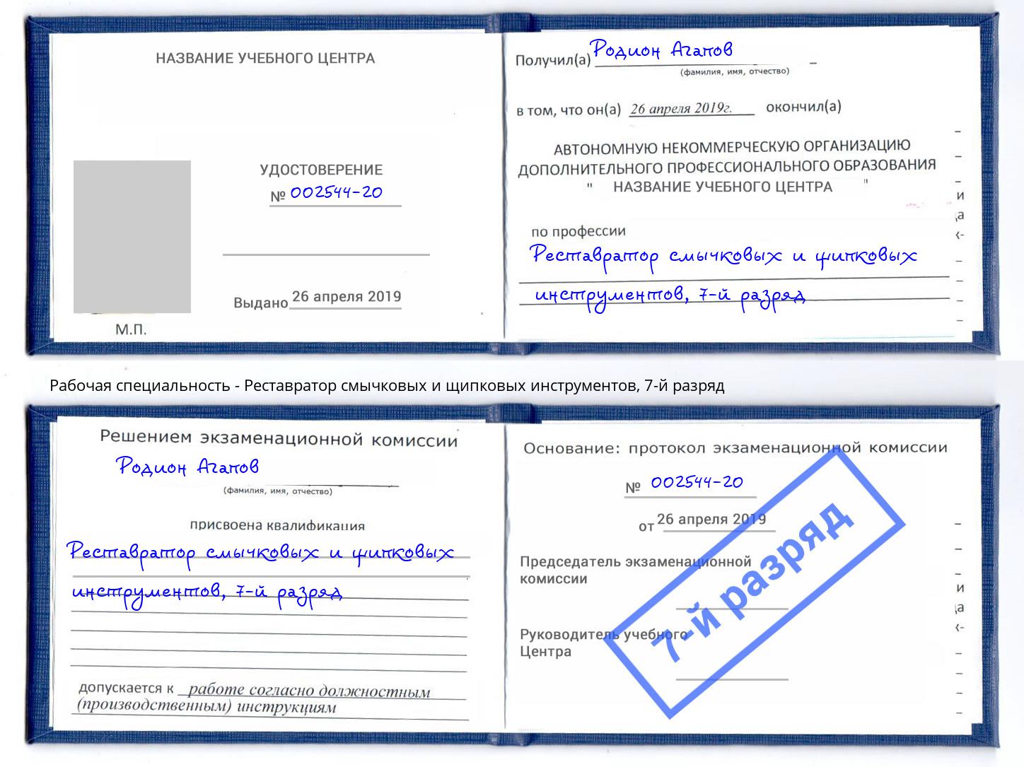 корочка 7-й разряд Реставратор смычковых и щипковых инструментов Серпухов